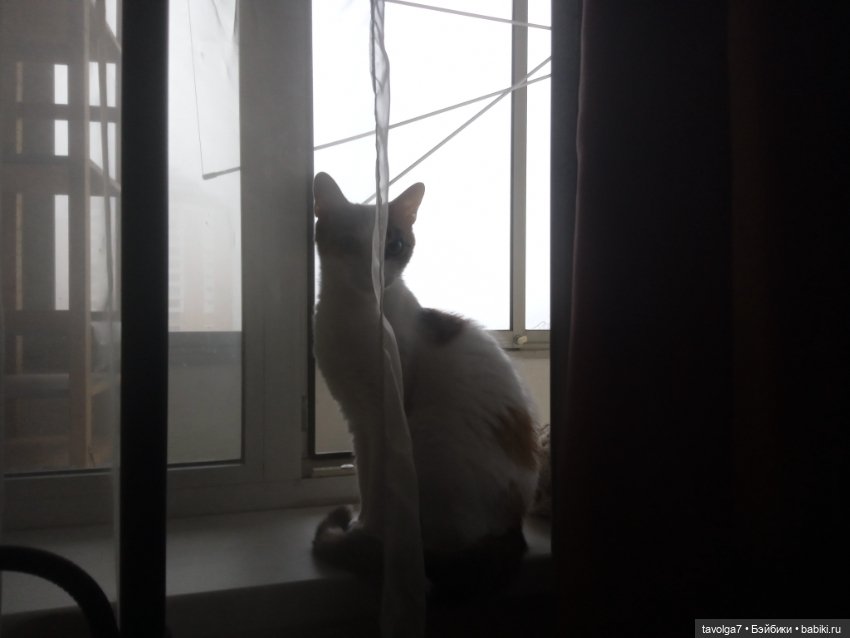 Мой август 2024 на смартфоне (фото 3)