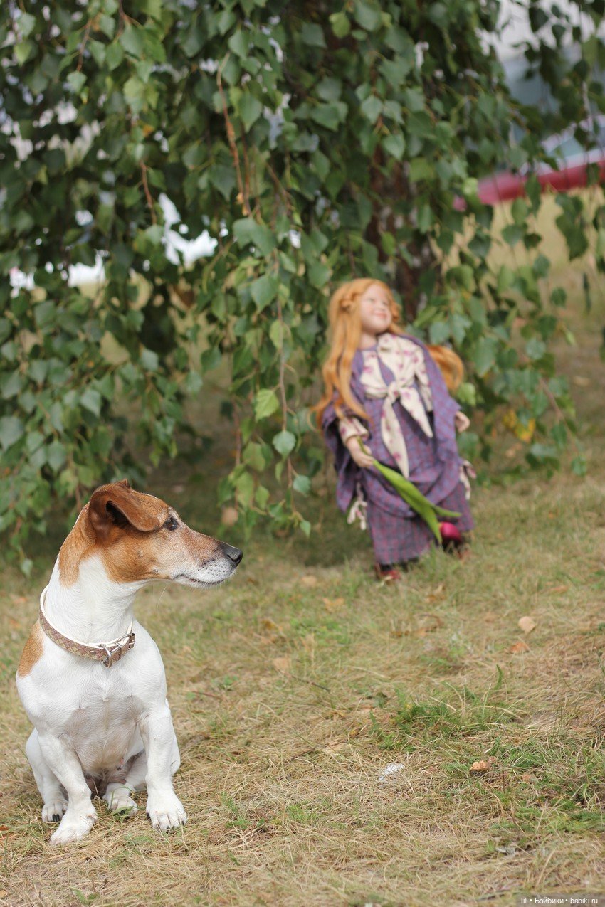 Рыжик Lille — Куклы Zwergnase (Цвергназе/Цверги): фото