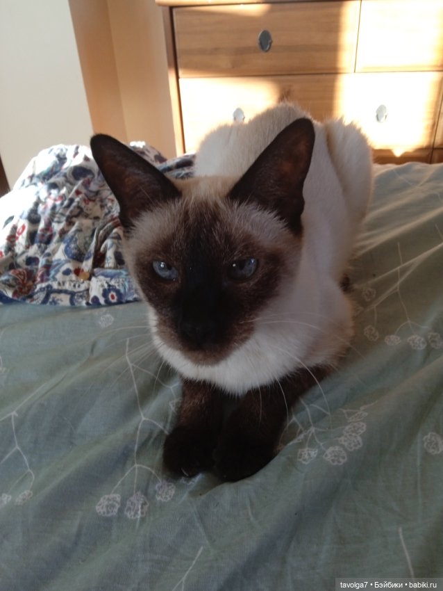 Мой август 2024 на смартфоне