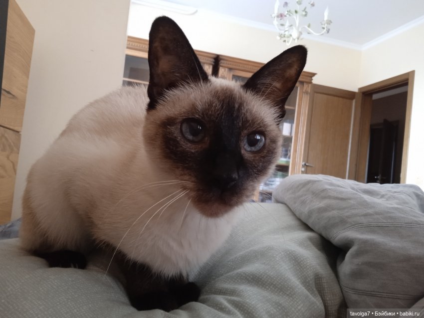 Мой август 2024 на смартфоне (фото 2)