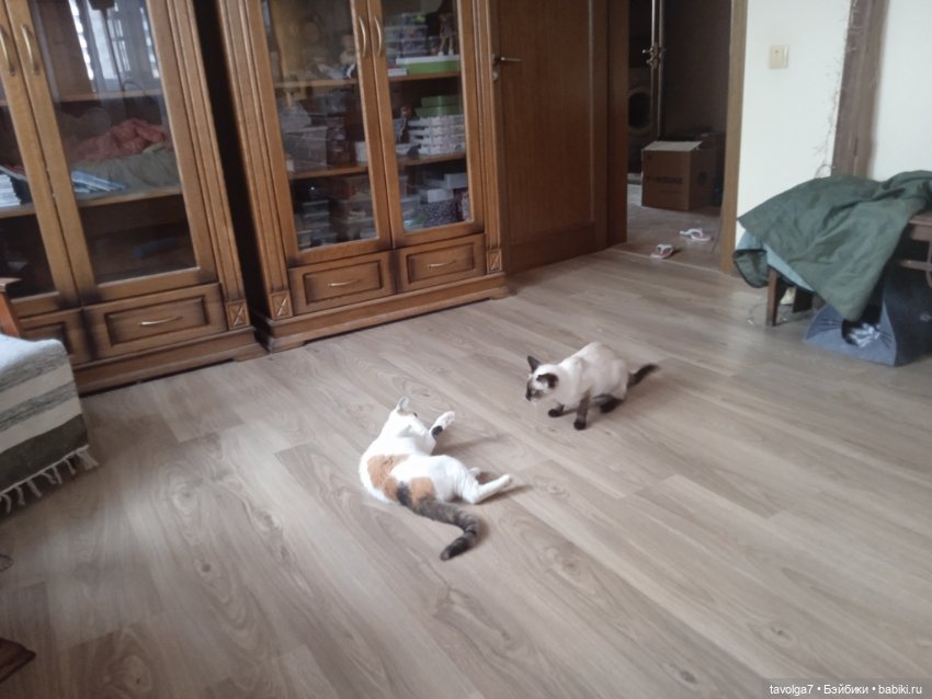 Мой август 2024 на смартфоне