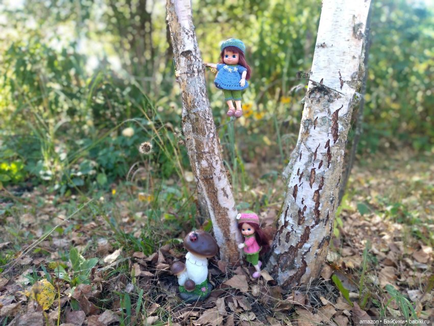 Гибридизация пупсов Chou Chou birds