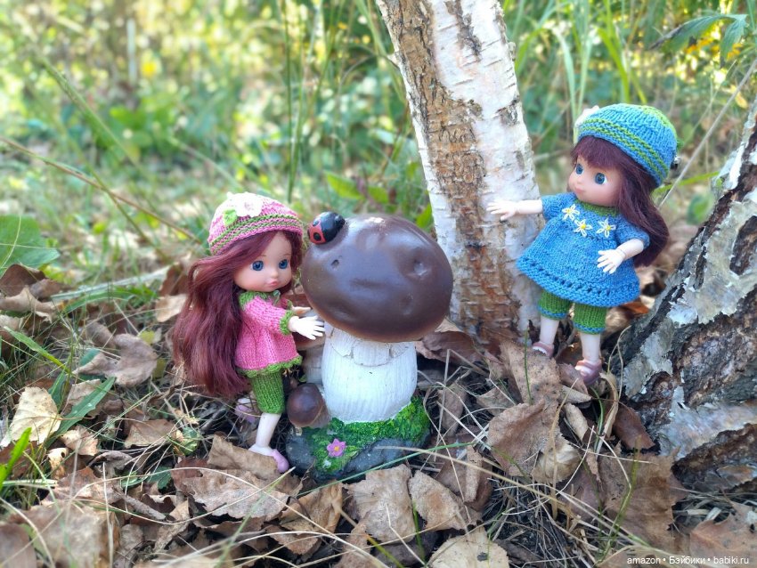 Гибридизация пупсов Chou Chou birds