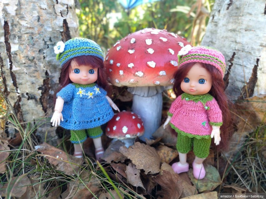 Гибридизация пупсов Chou Chou birds