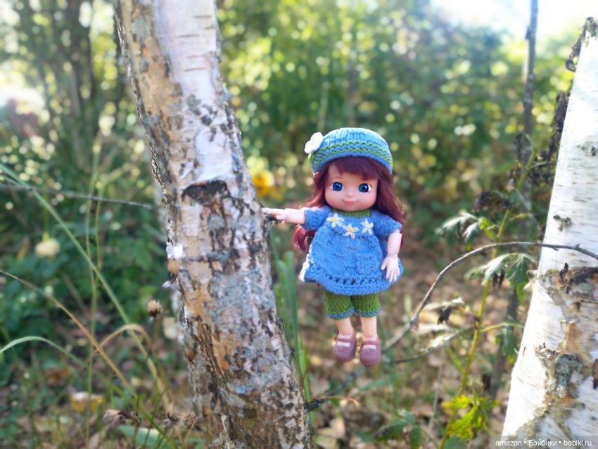 Гибридизация пупсов Chou Chou birds