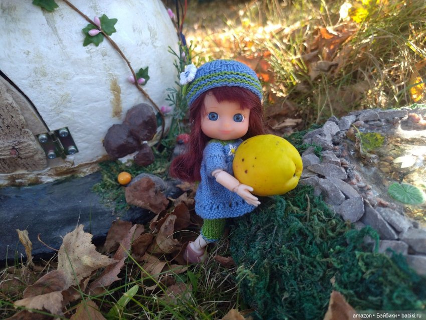 Гибридизация пупсов Chou Chou birds