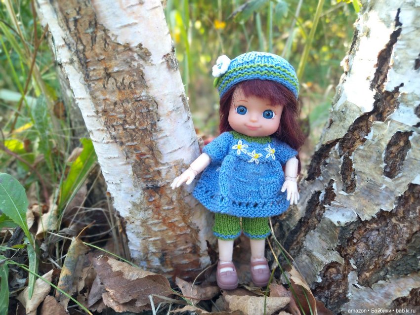 Гибридизация пупсов Chou Chou birds