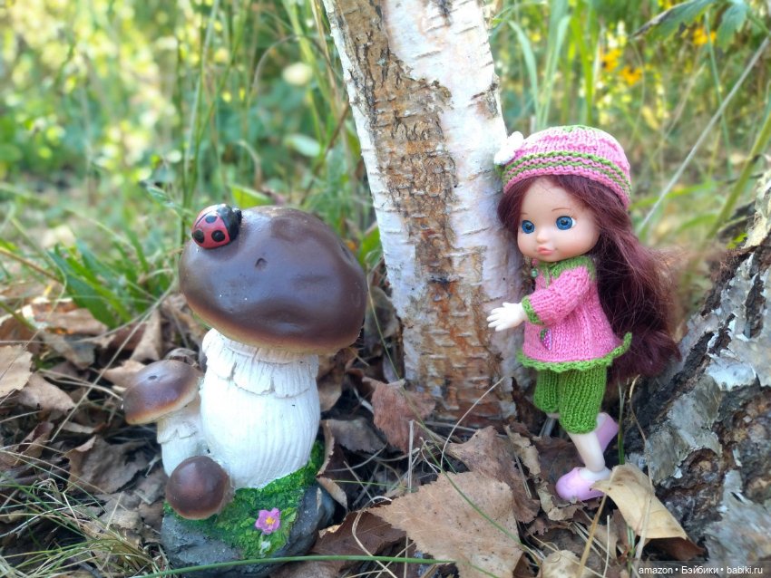 Гибридизация пупсов Chou Chou birds