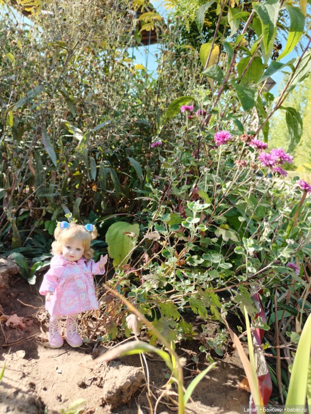 Элинкины рассказы или " Зелёный жук и золотая осень". Мини Адора mini adora