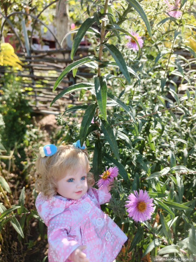 Элинкины рассказы или " Зелёный жук и золотая осень". Мини Адора mini adora