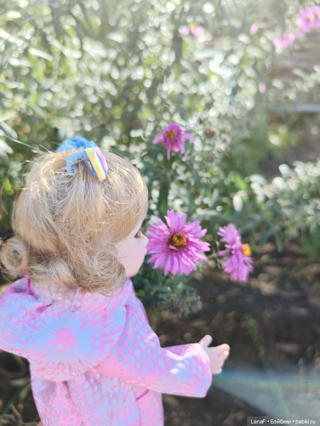 Элинкины рассказы или " Зелёный жук и золотая осень". Мини Адора mini adora