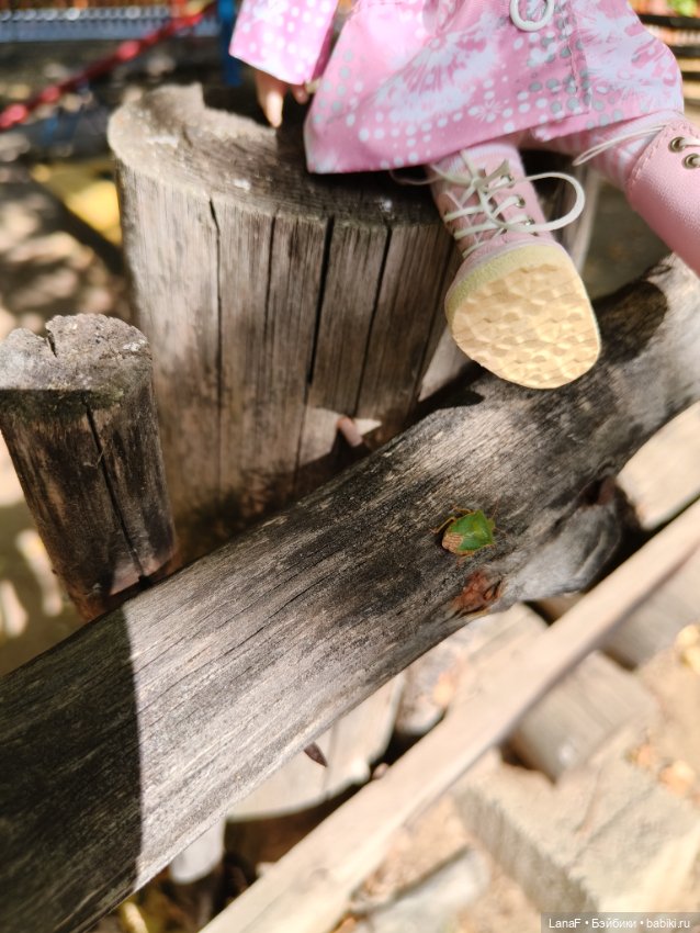 Элинкины рассказы или " Зелёный жук и золотая осень". Мини Адора mini adora (фото 9)