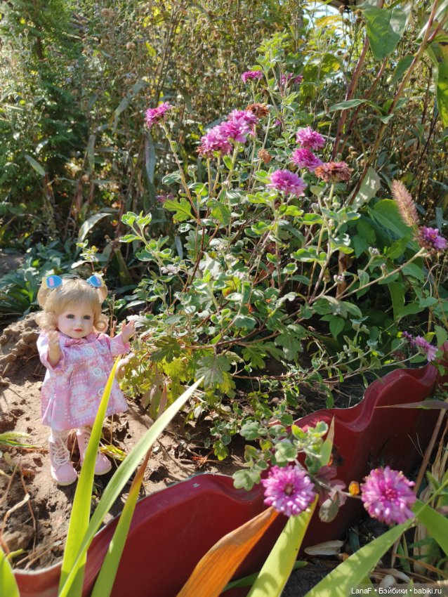 Элинкины рассказы или " Зелёный жук и золотая осень". Мини Адора mini adora