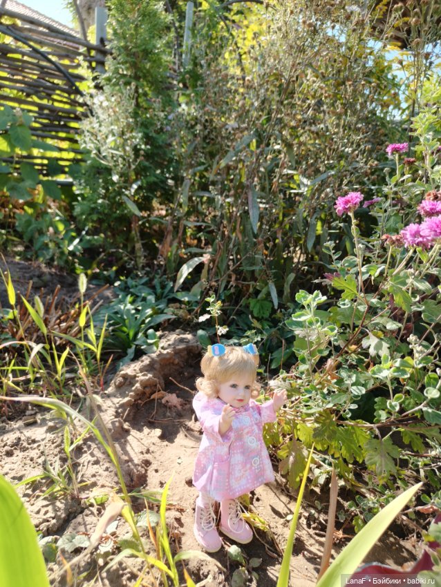 Элинкины рассказы или " Зелёный жук и золотая осень". Мини Адора mini adora