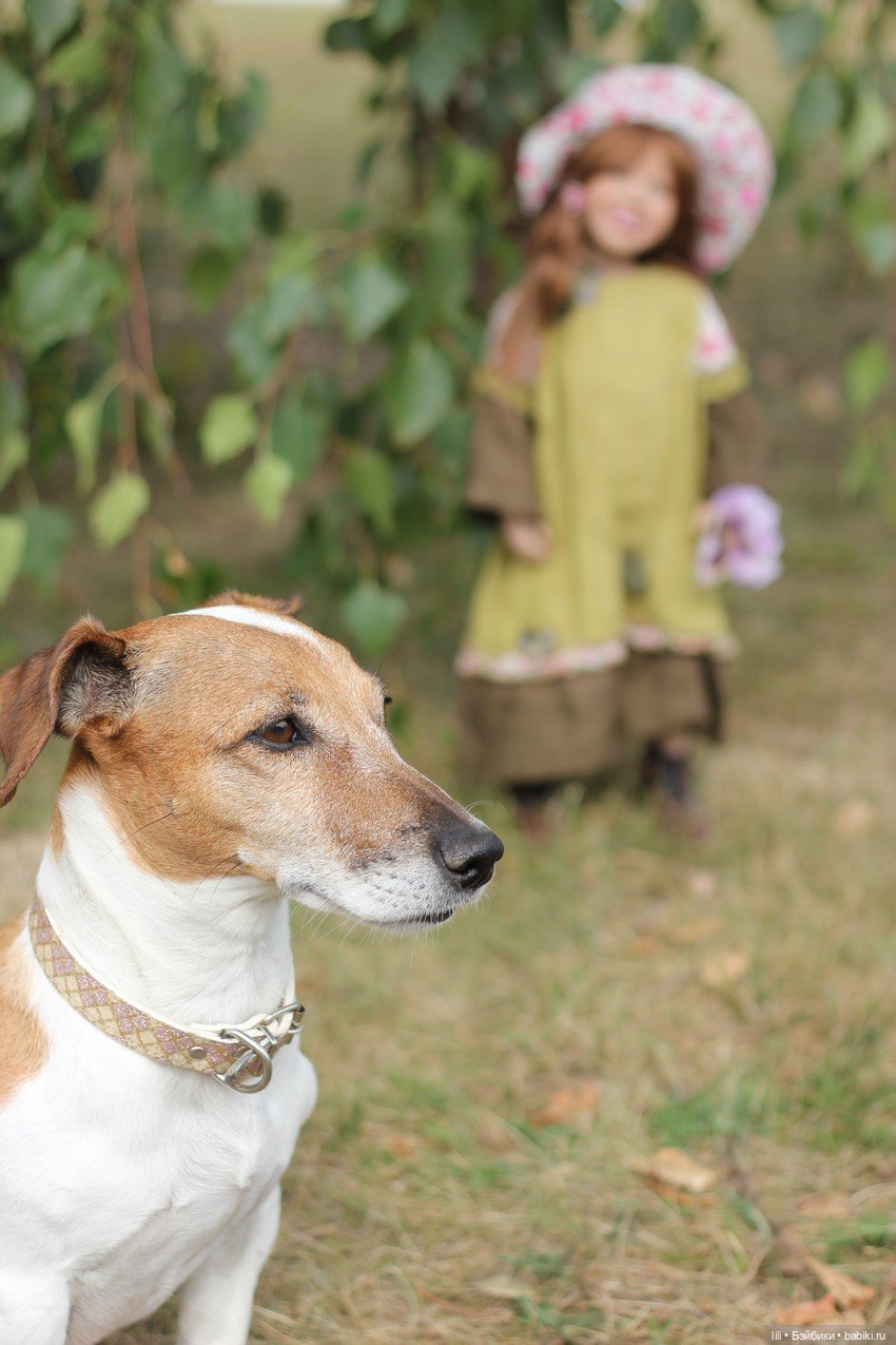 Аккелин — Куклы Zwergnase (Цвергназе/Цверги): фото