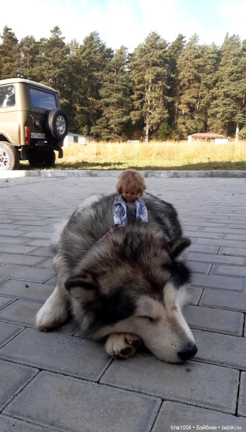 ИЗ ЖИЗНИ КУКОЛ Как они отдыхают Летний Архыз 5ч (фото 9)