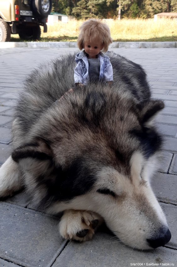 ИЗ ЖИЗНИ КУКОЛ Как они отдыхают Летний Архыз 5ч