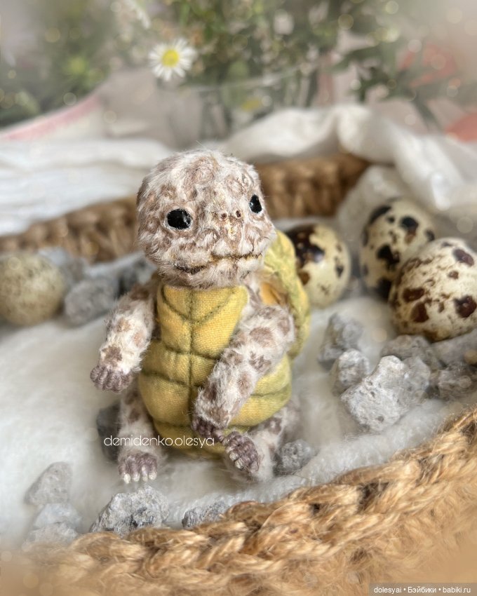 Маленький черепашонок тедди (фото 5)