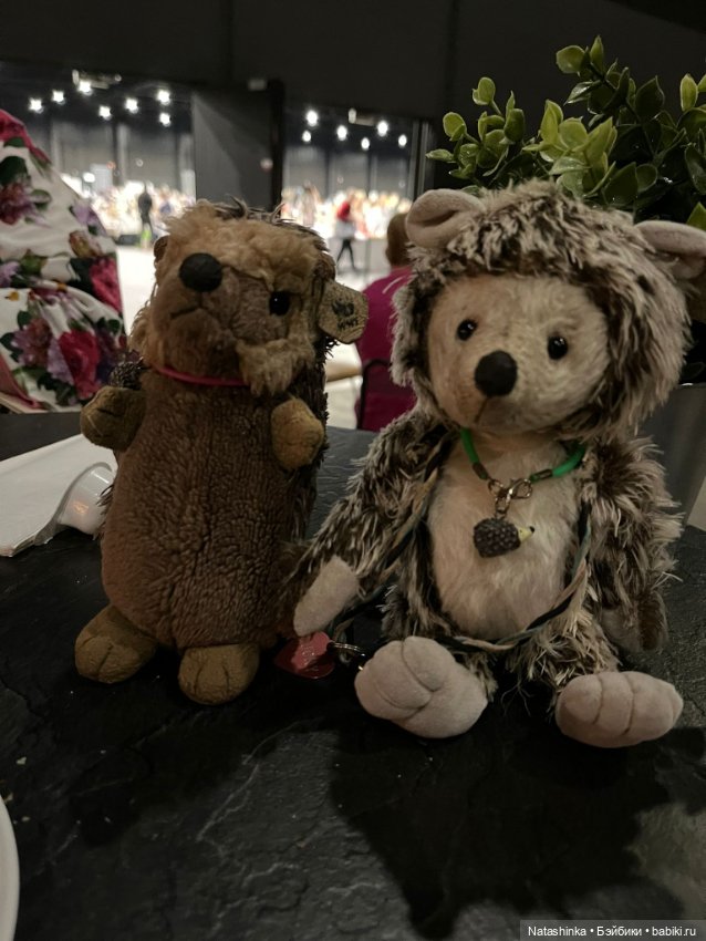 Музыкальная История 146 — Туризм и путешествия: фотоотчеты из поездок