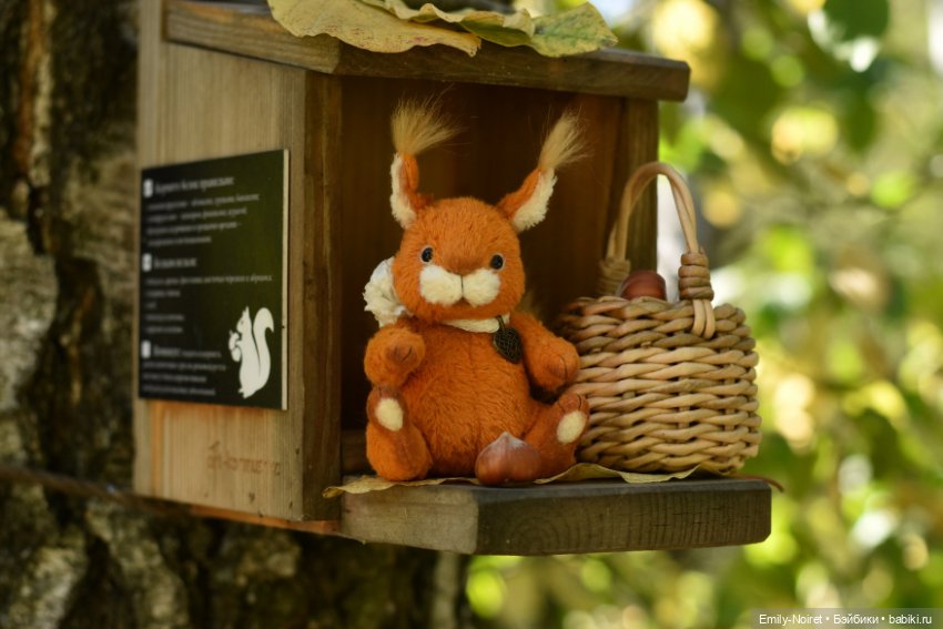 Белка и орехи — Домашние фото авторских игрушек: Тедди