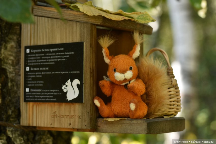 Белка и орехи — Домашние фото авторских игрушек: Тедди (фото 3)