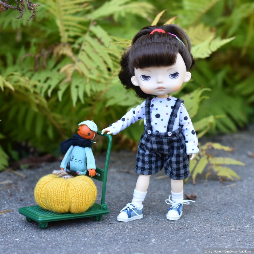 Бонни и тележка — Куклы Xiaomi Monst (Сяоми) и Pipitom: шарнирные (фото 5)