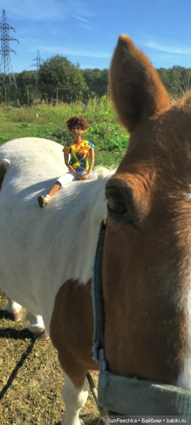 Камило. Снова в эфире — Гибриды шарнирных кукол (не БЖД): подбор тела (фото 10)