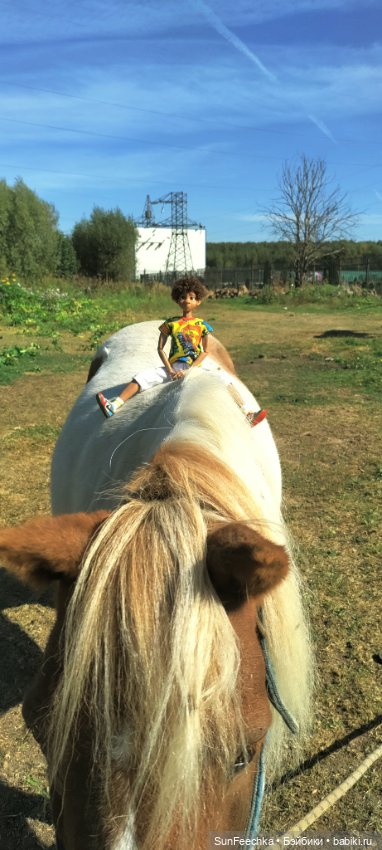 Камило. Снова в эфире — Гибриды шарнирных кукол (не БЖД): подбор тела (фото 8)