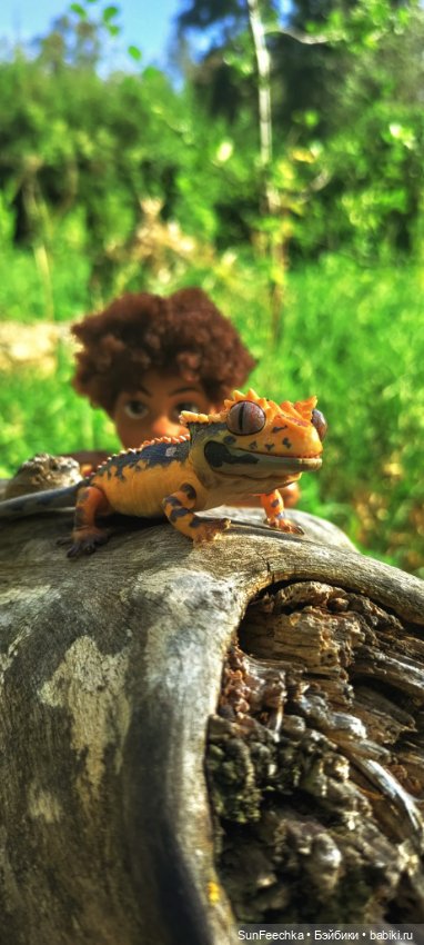 Камило. Снова в эфире — Гибриды шарнирных кукол (не БЖД): подбор тела (фото 3)