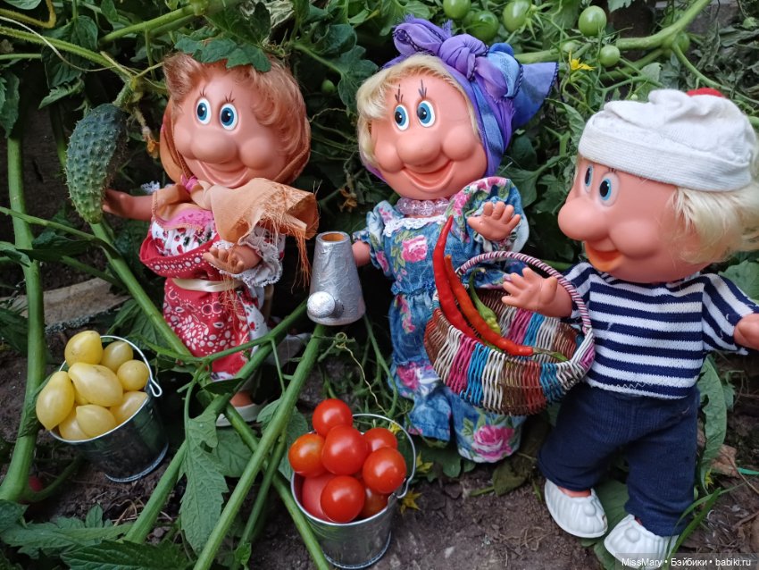 Веселые картинки. Урожай дядюшки Увэ (фото 6)