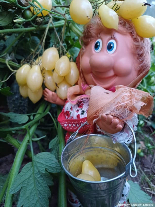 Веселые картинки. Тетя Анфиса и бешеные помидоры (фото 5)
