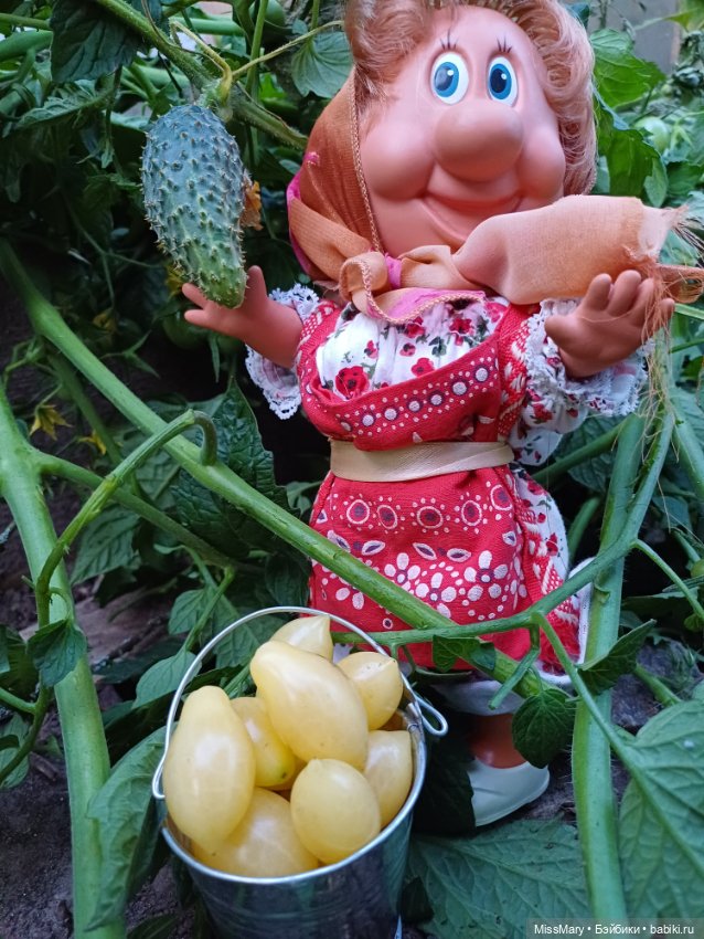 Веселые картинки. Тетя Анфиса и бешеные помидоры (фото 9)