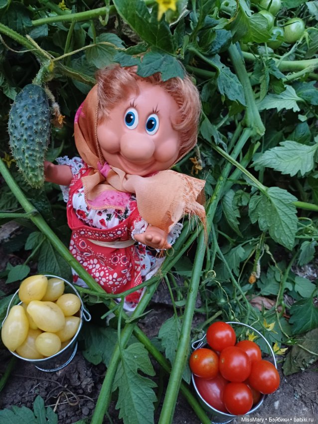 Веселые картинки. Тетя Анфиса и бешеные помидоры