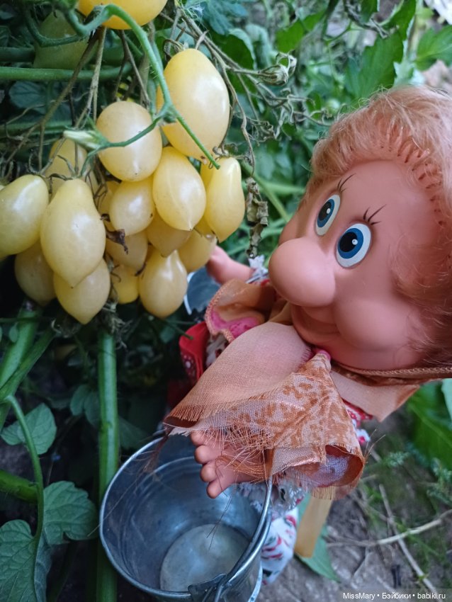 Веселые картинки. Тетя Анфиса и бешеные помидоры