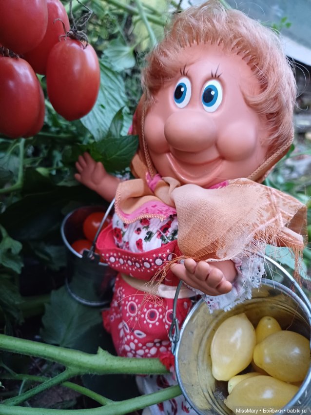 Веселые картинки. Тетя Анфиса и бешеные помидоры (фото 7)