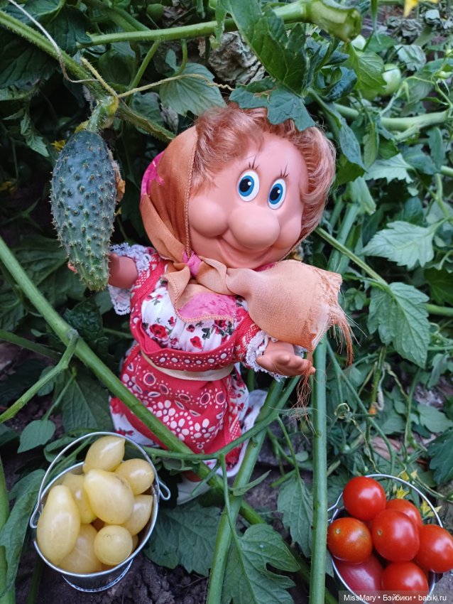 Веселые картинки. Тетя Анфиса и бешеные помидоры (фото 8)