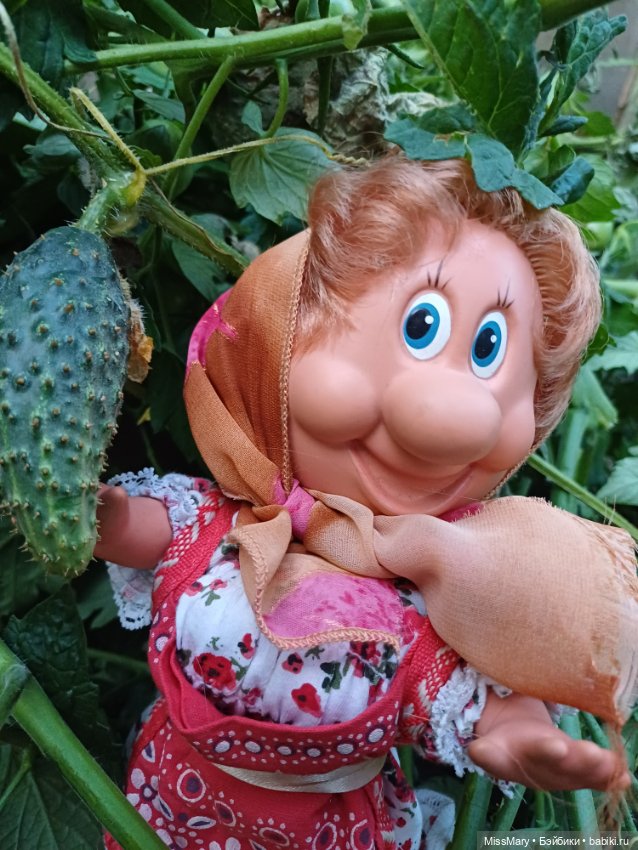 Веселые картинки. Тетя Анфиса и бешеные помидоры