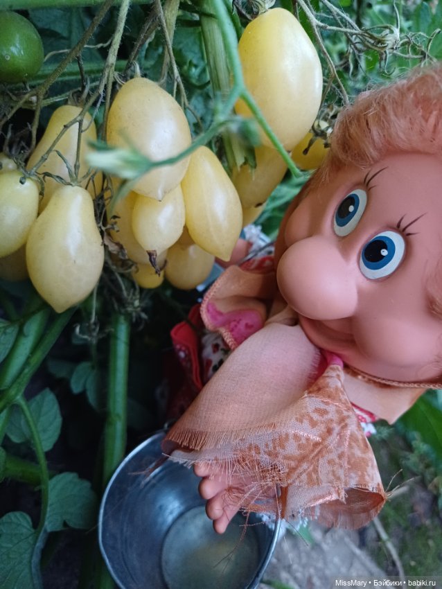 Веселые картинки. Тетя Анфиса и бешеные помидоры (фото 3)