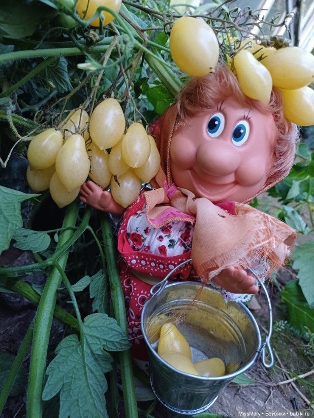 Веселые картинки. Тетя Анфиса и бешеные помидоры (фото 4)