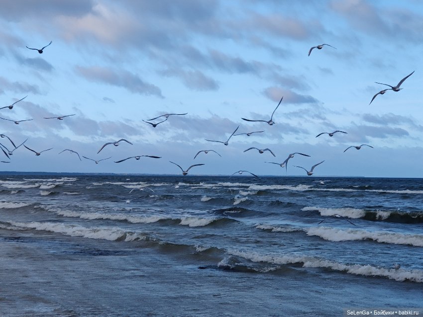 Жизнь на море. Балтика, моя палитра