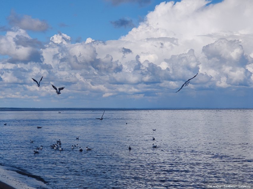 Жизнь на море. Балтика, моя палитра (фото 2)