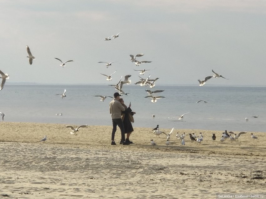 Жизнь на море. Балтика, моя палитра