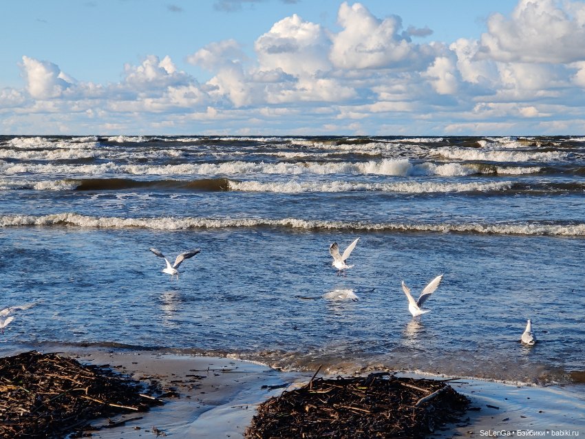 Жизнь на море. Балтика, моя палитра