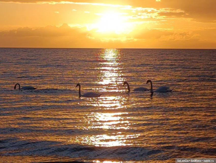 Жизнь на море. Балтика, моя палитра