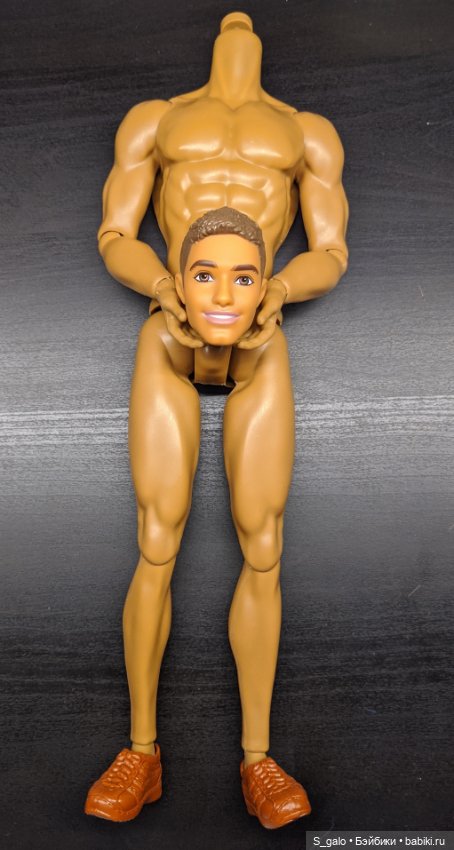 Сложности гибридизации — Куклы Barbie (Барби): Looks