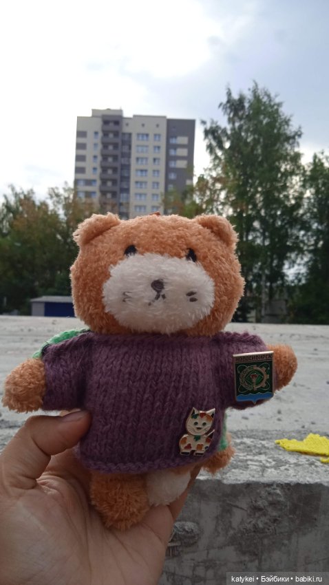 День рыжего кота и кленового листа