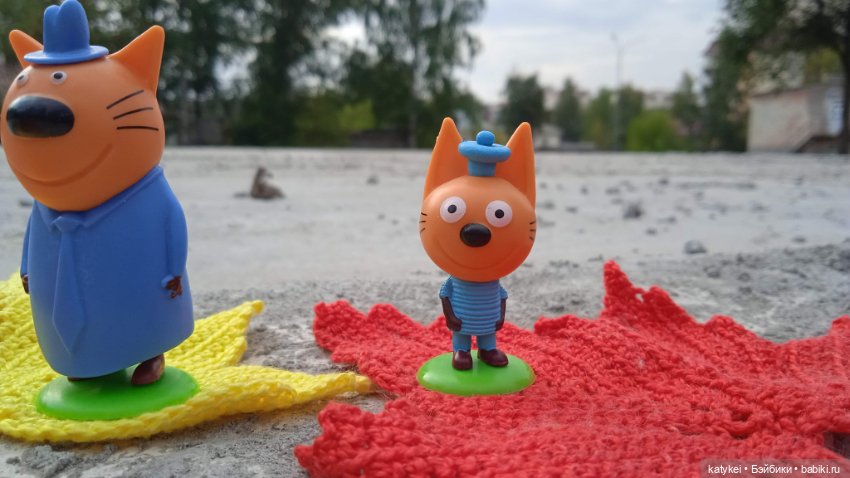 День рыжего кота и кленового листа