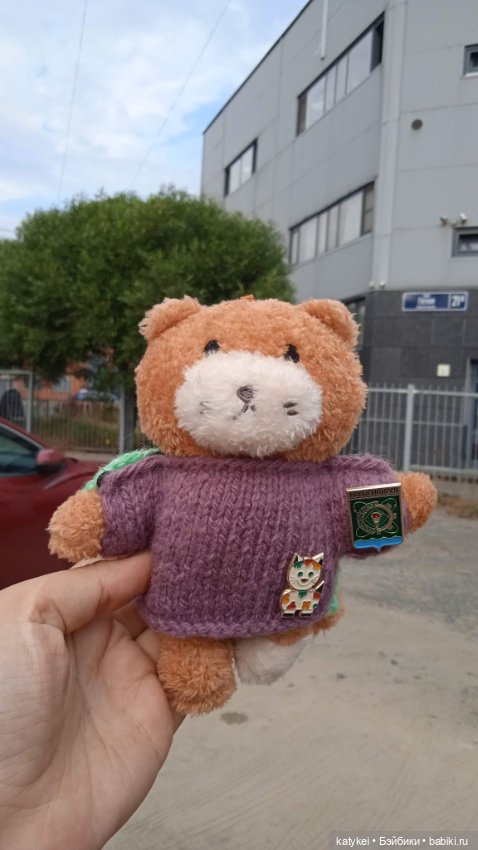 День рыжего кота и кленового листа