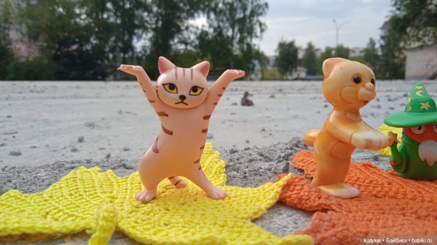 День рыжего кота и кленового листа