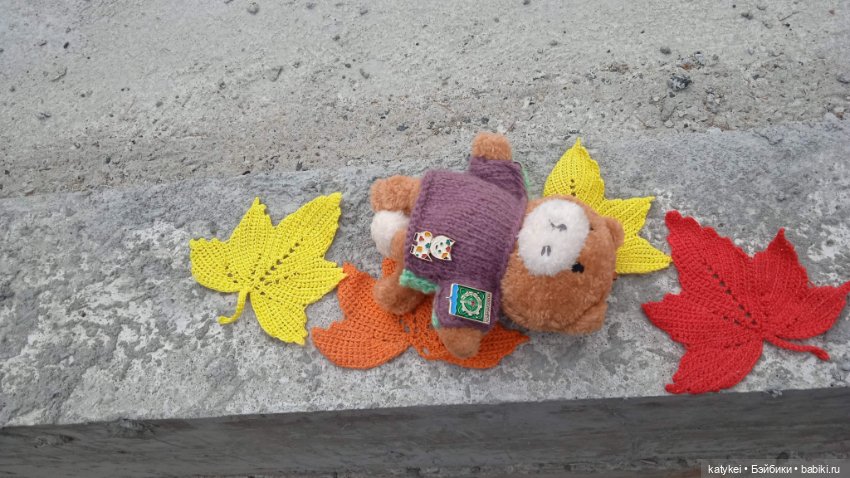 День рыжего кота и кленового листа (фото 3)